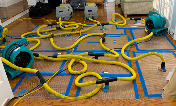 Professional Crawl Space Water Removal technician working in Maybee, MI